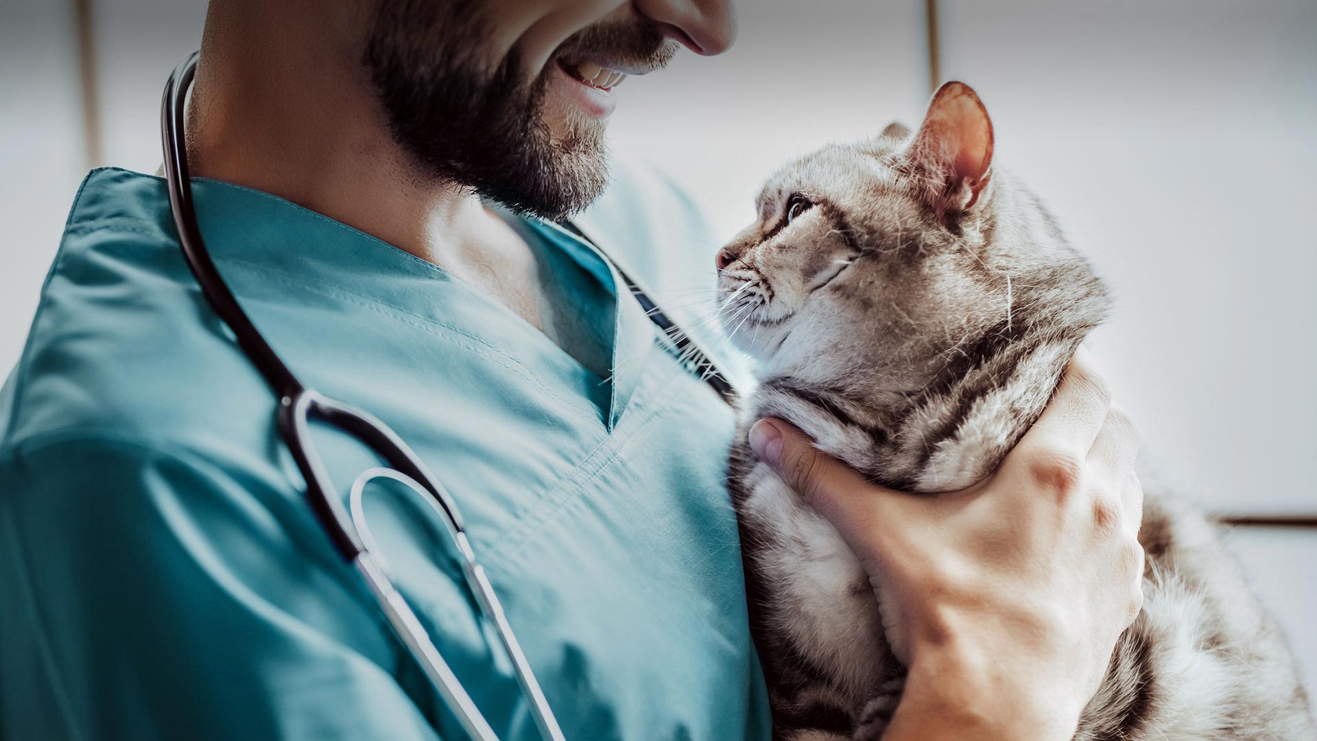 Tepebaşı Veteriner